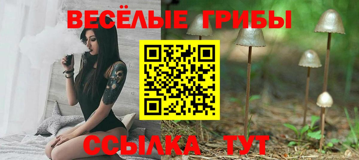 Стрежевой  Галлюциногенные грибы мицелий  Псилоцибиновые грибы Magic Shrooms  Вход с VPN 